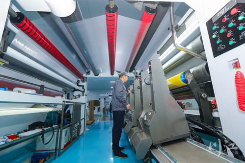 打造开放桥头堡 川南临港片区如何以地坪材料产业助力成渝双城经济圈南翼崛起