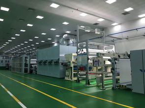 聚焦湖北医卫非织造材料研发基地 地坪材料研发与购销的专业评审