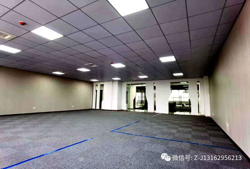 天脉科技园 赋能地坪材料研发与创新的首选基地